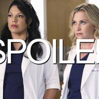 Grey&#039;s Anatomy saison 11 : quel avenir pour le couple Callie/Arizona après la rupture ?