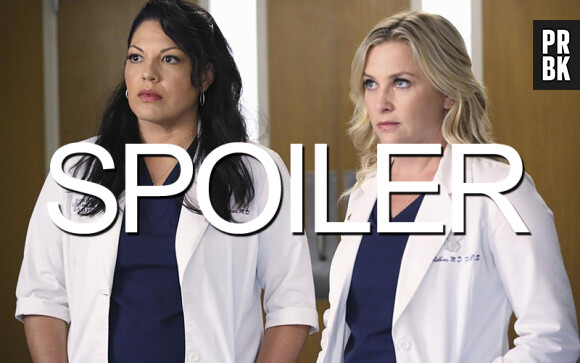 Grey's Anatomy saison 11 : quelle suite pour le couple Callie/Arizona après leur rupture ?