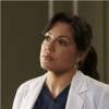 Grey's Anatomy saison 12 : un tweet de Sara Ramirez sème la panique chez les fans de la série