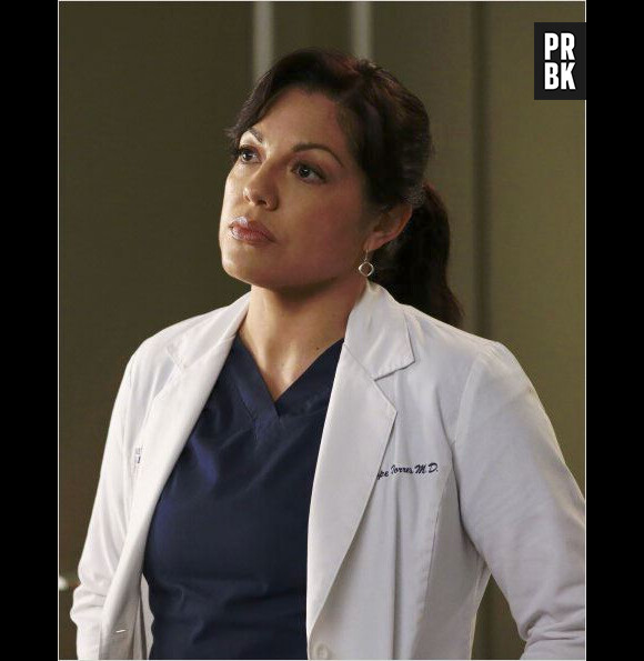 Grey's Anatomy saison 12 : un tweet de Sara Ramirez sème la panique chez les fans de la série
