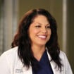 Grey's Anatomy saison 12 : Sara Ramirez sur le départ ? Pourquoi elle ne devrait pas partir