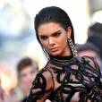 Kendall Jenner star la plus sexy de Cannes 2016 ?