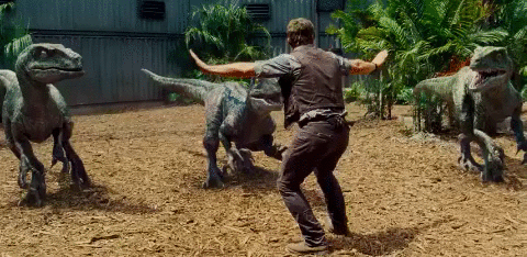Chris Pratt gif