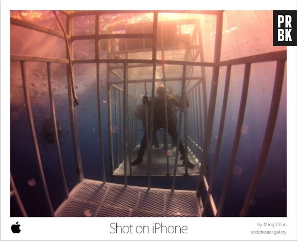 Le plongeur Ming Chan a fait une photo depuis la cage où il était bloqué.