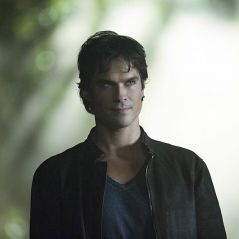 The Vampire Diaries saison 8 : Damon bientôt humain avec Elena ?