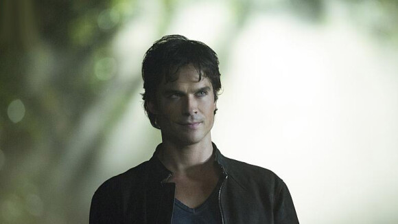 The Vampire Diaries saison 8 : Damon bientôt humain avec Elena ?