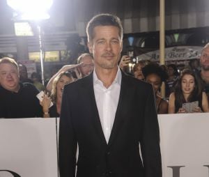 Brad Pitt amaigri aux côtés de Marion Cotillard, après son divorce avec Angelina Jolie