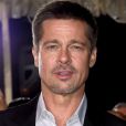  Brad Pitt amaigri aux côtés de Marion Cotillard, après son divorce avec Angelina Jolie 