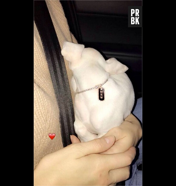 Kendall Jenner présente son chien Mew sur Snapchat