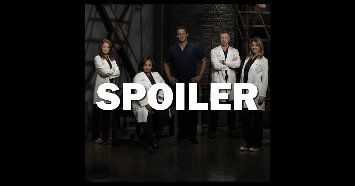 Grey's Anatomy : 15 saisons et plus pour la série ? ABC y croit - PureBreak