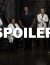 Grey's Anatomy saison 13 : Alex va-t-il aller en prison ? La réponse
