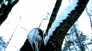 Iamamiwhoami ... La fille la plus mystérieuse du moment qui buzz !!