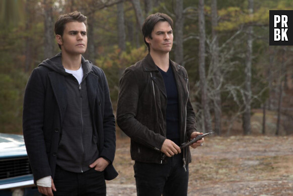 The Vampire Diaries saison 8 : bientôt une suite pour la série ?