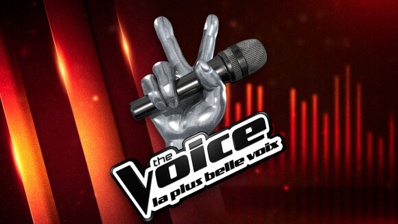 The Voice : un nouveau coach en approche dans l'émission ?