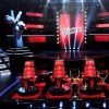 Estimations The Voice 6 : Lisandro gagnant devant Lucie, Vincent Vinel et Nicola Cavallaro ?