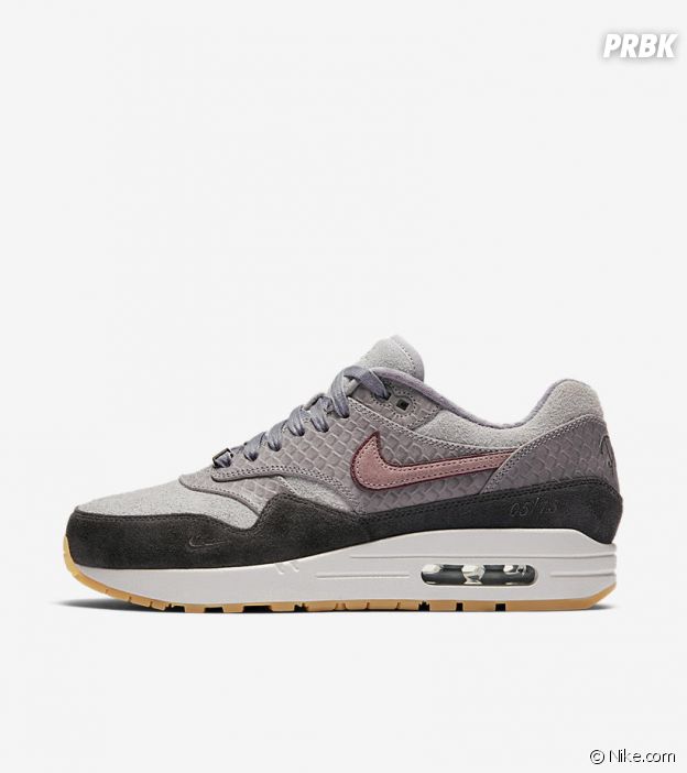 Air Max 1 Paris