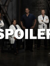 Grey's Anatomy saison 14 : une actrice quitte la série