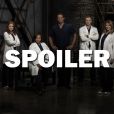Grey's Anatomy saison 14 : une actrice quitte la série