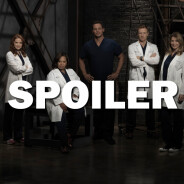 Grey&#039;s Anatomy saison 14 : une actrice quitte la série