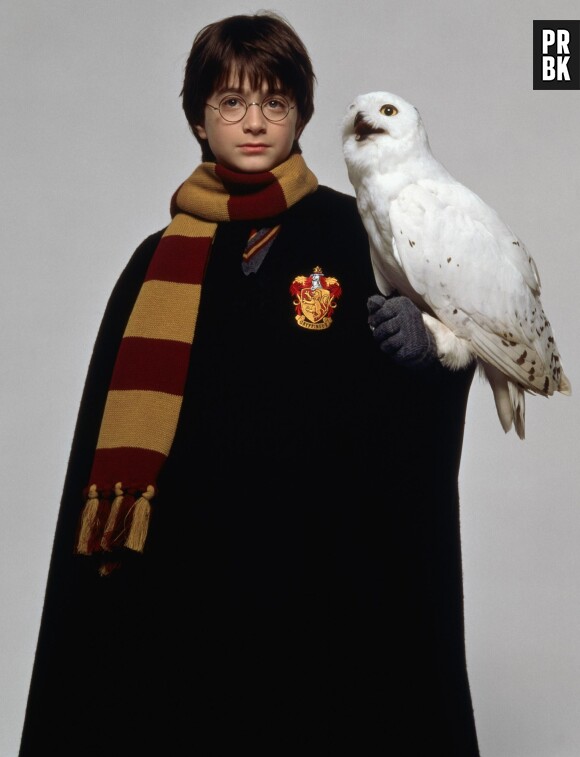 Harry Potter : les hiboux en danger à cause des fans ? J.K. Rowling inquiète