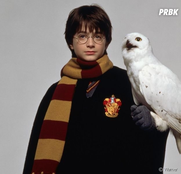 Harry Potter : les hiboux en danger à cause des fans ? J.K. Rowling inquiète