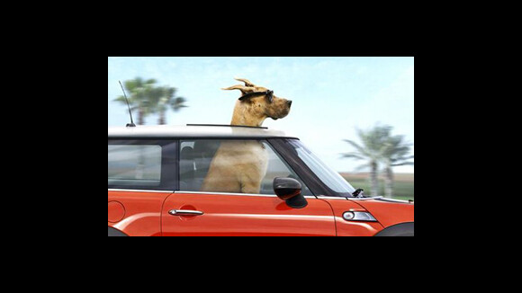 Marmaduke ... une 2eme vidéo du film