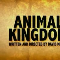 Animal Kingdom ... Regardez la première bande annonce en VO