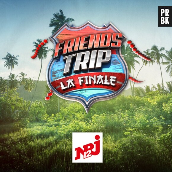 Friends Trip 4 : qui est le grand gagnant ? La grosse surprise d'NRJ12
