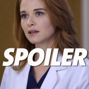 Grey&#039;s Anatomy saison 14 : April morte ou vivante après l&#039;épisode 23 ? La réponse