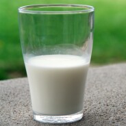 Le lait de cafard, le nouveau super-aliment qui pourrait devenir tendance