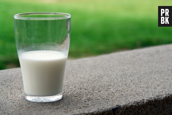 Le lait de cafard, le nouveau super-aliment à adopter ?