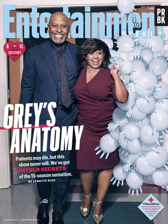 Grey's Anatomy saison 15 : la couverture spéciale avec Chandra Wilson (Bailey) et James Pickens Jr (Richard)