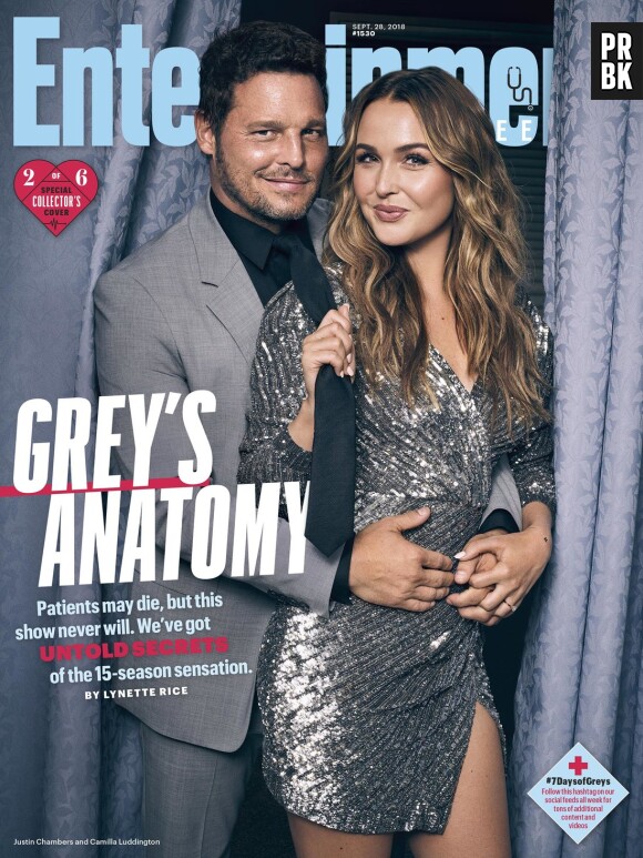 Grey's Anatomy saison 15 : la couverture spéciale avec Justin Chambers (Alex) et Camila Luddington (Jo)