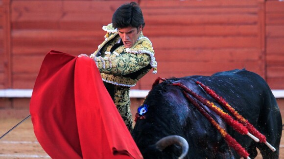 Squeezie, Hugo Clément, Matthieu Kassovitz... Les stars se mobilisent contre la corrida