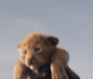 Le Roi Lion : Simba prend vie dans le film en live-action