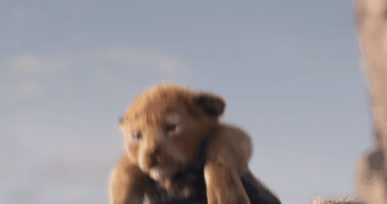 Le Roi Lion : Simba prend vie dans le film en live-action