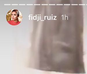 Fidji Ruiz (Les Princes et le princesses de l'amour 2) et Dylan en couple : ils ne se cachent plus