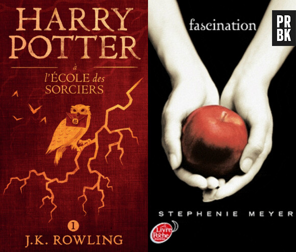 Des livres Harry Potter et Twilight brulés par des prêtres polonais pour "sacrilège".