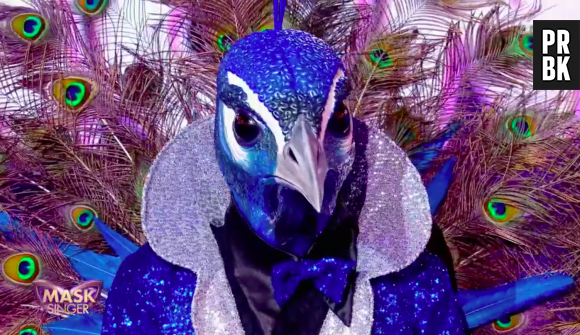 Mask Singer : qui est le paon ? Les indices qui dévoilent son identité
