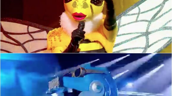 Mask Singer : le dino et l'abeille éliminés, découvrez leur identité