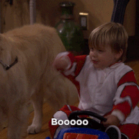 La Fête à la Maison : Cosmo, le chien de la série, est mort à l&#039;âge de 4 ans 😭