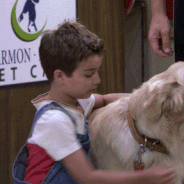 La Fête à la Maison : Cosmo, le chien de la série, est mort à l&#039;âge de 4 ans 😭