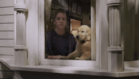 La Fête à la Maison : Cosmo, le chien de la série, est mort