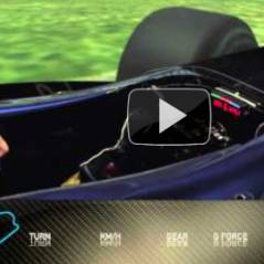 F1 ... Grand Prix du Brésil ... on découvre le circuit avec un vrai pilote