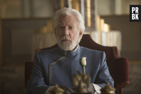 Hunger Games de retour : c'est officiel, un nouveau film centré sur le Président Snow va voir le jour