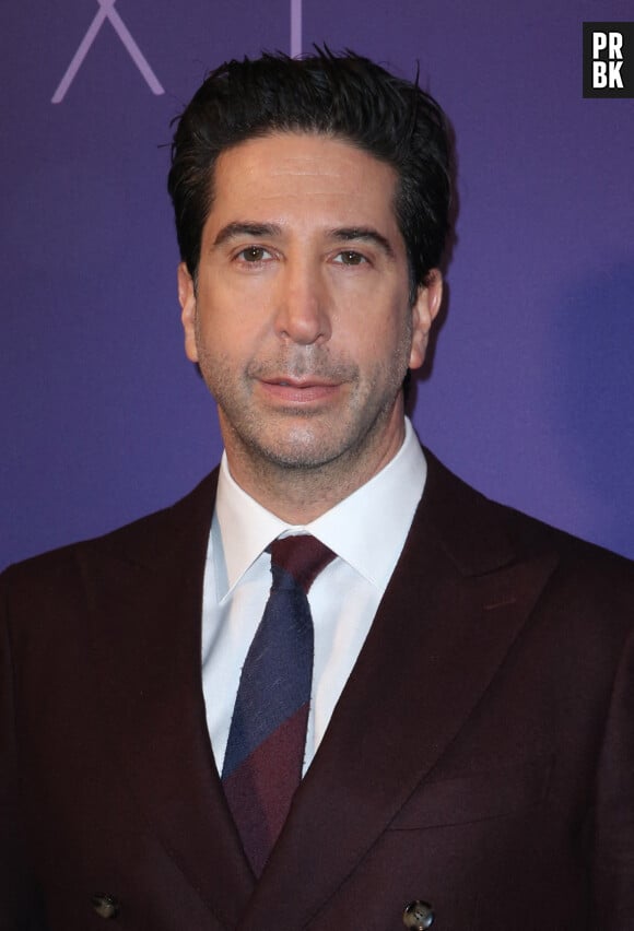 Friends : on en sait un peu plus sur les retrouvailles du casting, David Schwimmer (Ross Geller) se confie