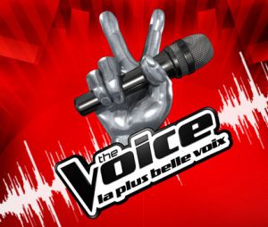 The Voice : les coachs de la saison anniversaire dévoilés... et ils seront 5 !