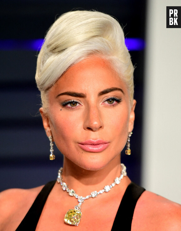 Lady Gaga : ses chiens enlevés, le dog sitter blessé par balles, la star prête à payer la rançon