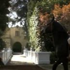 Running Wilde saison 1 ... bientôt la reprise sur la FOX