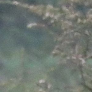 La Chronique des Bridgerton saison 2 : Jonathan Bailey sur le tournage le 3 juin 2021